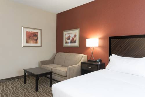 Imagen de la habitación del Hotel Holiday Inn Express & Suites Grand Rapids-North. Foto 13