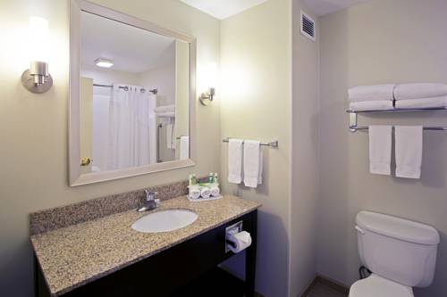 Imagen de la habitación del Hotel Holiday Inn Express & Suites Grand Rapids-North. Foto 14