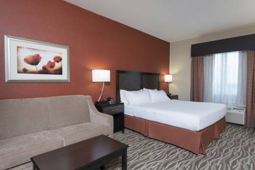 Imagen de la habitación del Hotel Holiday Inn Express & Suites Grand Rapids-North. Foto 16