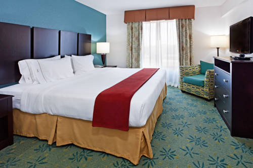 Imagen de la habitación del Hotel Holiday Inn Express & Suites Greenville-Spartanburg(Duncan). Foto 10