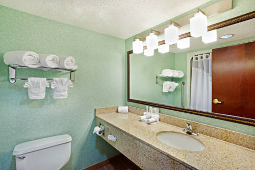 Imagen de la habitación del Hotel Holiday Inn Express & Suites Greenville-Spartanburg(Duncan). Foto 13
