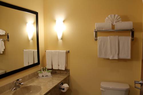 Imagen de la habitación del Hotel Holiday Inn Express & Suites Harrisburg W - Mechanicsburg. Foto 4