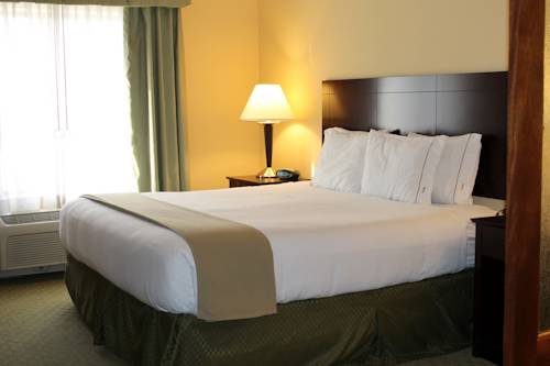 Imagen de la habitación del Hotel Holiday Inn Express & Suites Harrisburg W - Mechanicsburg. Foto 10