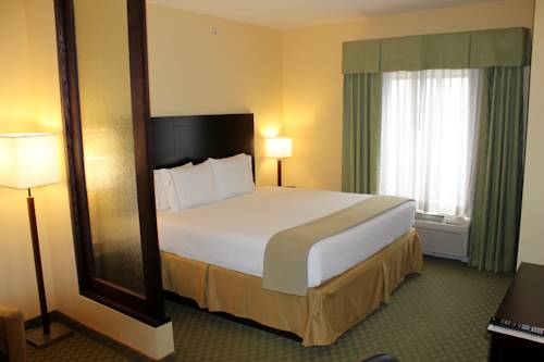 Imagen de la habitación del Hotel Holiday Inn Express & Suites Harrisburg W - Mechanicsburg. Foto 12