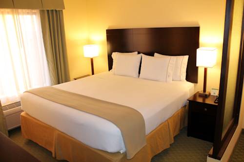 Imagen de la habitación del Hotel Holiday Inn Express & Suites Harrisburg W - Mechanicsburg. Foto 13