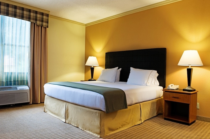 Imagen de la habitación del Hotel Holiday Inn Express & Suites Irving Dfw Airport North. Foto 3
