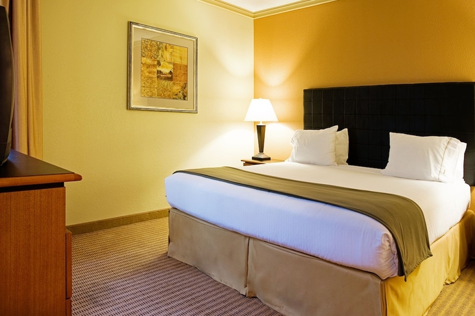 Imagen de la habitación del Hotel Holiday Inn Express & Suites Irving Dfw Airport North. Foto 14