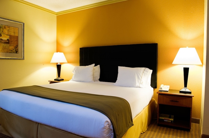 Imagen de la habitación del Hotel Holiday Inn Express & Suites Irving Dfw Airport North. Foto 15