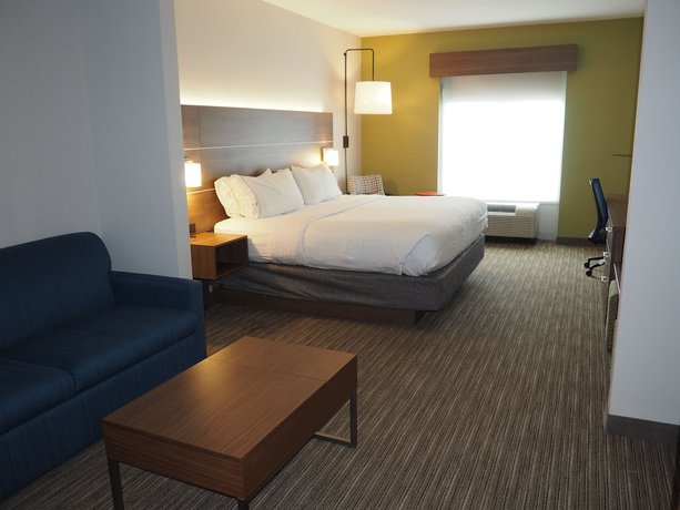 Imagen de la habitación del Hotel Holiday Inn Express & Suites Jacksonville North-Fernandina. Foto 16