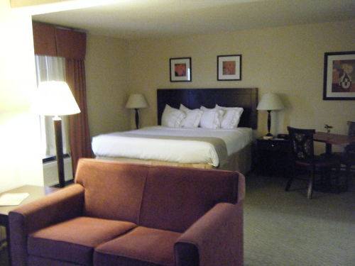Imagen de la habitación del Hotel Holiday Inn Express & Suites Knoxville-North-I-75 Exit 112. Foto 13