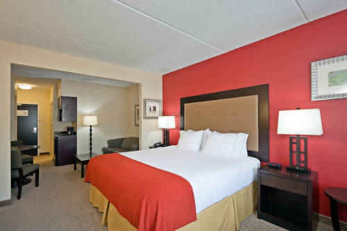 Imagen de la habitación del Hotel Holiday Inn Express & Suites Kodak East-Sevierville. Foto 5