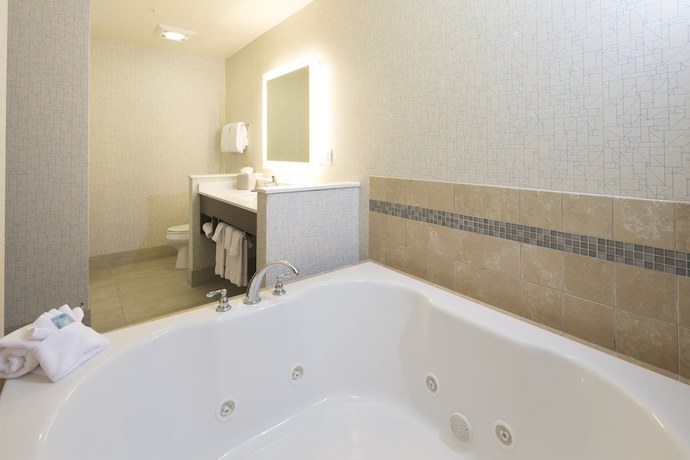 Imagen de la habitación del Hotel Holiday Inn Express & Suites La Porte. Foto 12