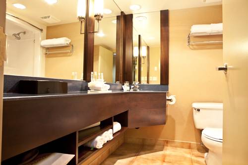 Imagen de la habitación del Hotel Holiday Inn Express & Suites Langley, an IHG. Foto 8