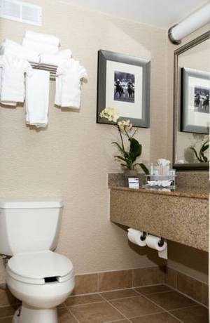 Imagen general del Hotel Holiday Inn Express & Suites Laurel, Laurel. Foto 1