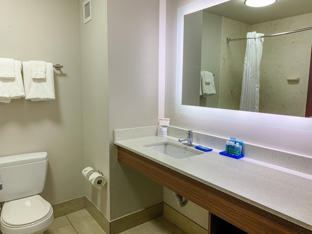 Imagen de la habitación del Hotel Holiday Inn Express & Suites Lexington Dtwn Area-Keeneland. Foto 9