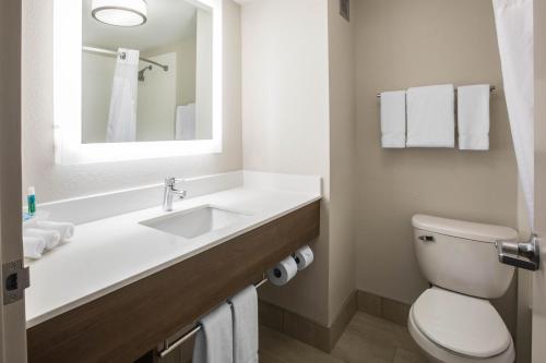 Imagen de la habitación del Hotel Holiday Inn Express & Suites Ludington, an IHG. Foto 6