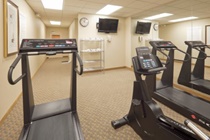 Imagen general del Hotel Holiday Inn Express & Suites Memphis Southwind. Foto 4