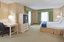 Imagen general del Hotel Holiday Inn Express & Suites Memphis Southwind. Foto 8