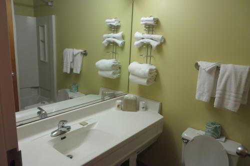 Imagen de la habitación del Hotel Holiday Inn Express & Suites - Milan - Sandusky Area, an IHG. Foto 9