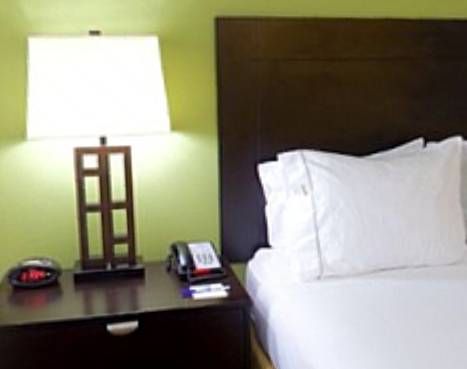 Imagen de la habitación del Hotel Holiday Inn Express & Suites Mt. Juliet-Nashville Area. Foto 3