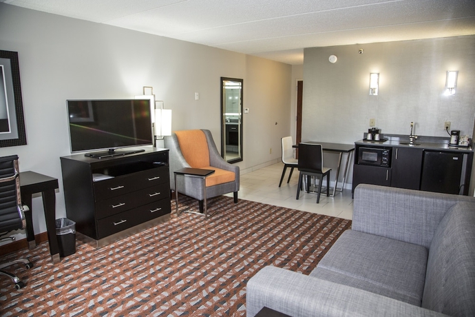Imagen de la habitación del Hotel Holiday Inn Express & Suites Nashville Southeast - Antioch. Foto 16