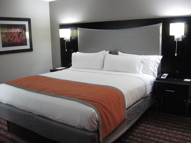 Imagen de la habitación del Hotel Holiday Inn Express & Suites Nashville Southeast - Antioch. Foto 17