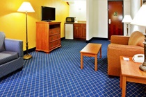 Imagen general del Hotel Holiday Inn Express & Suites Nashville-I-40&I-24(Spence Ln). Foto 2