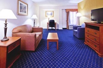 Imagen general del Hotel Holiday Inn Express & Suites Nashville-I-40&I-24(Spence Ln). Foto 7