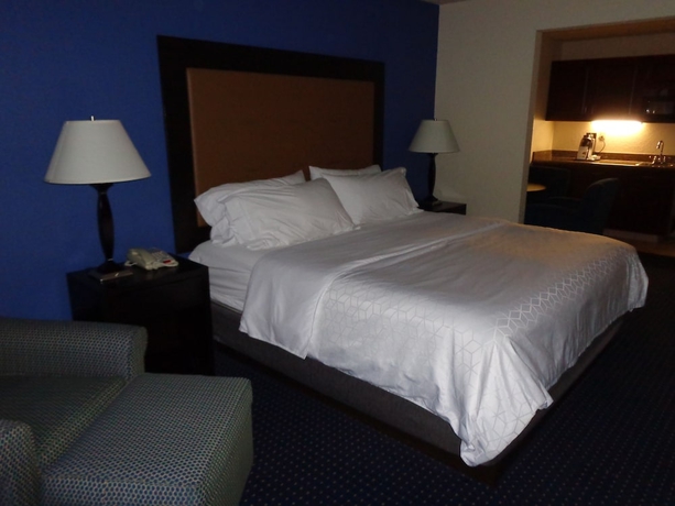 Imagen de la habitación del Hotel Holiday Inn Express & Suites New Buffalo, Mi. Foto 8
