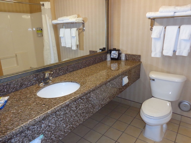 Imagen de la habitación del Hotel Holiday Inn Express & Suites New Buffalo, Mi. Foto 13