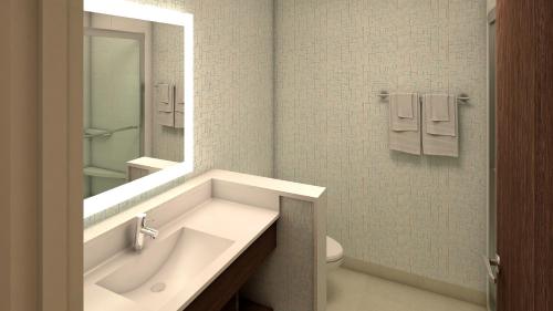 Imagen general del Hotel Holiday Inn Express & Suites - Olathe West, an IHG. Foto 1
