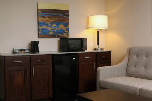 Imagen de la habitación del Hotel Holiday Inn Express & Suites Omaha South Ralston Arena. Foto 9