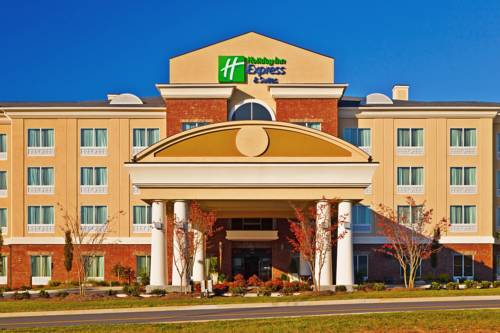 Imagen general del Hotel Holiday Inn Express & Suites Ooltewah Spring. Foto 2
