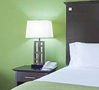 Imagen de la habitación del Hotel Holiday Inn Express & Suites Opelika Auburn. Foto 3