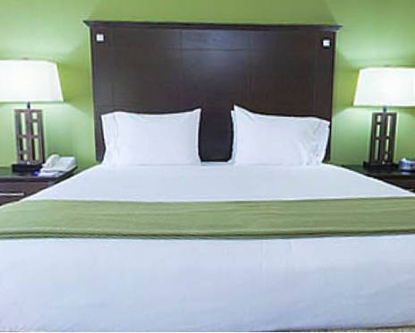 Imagen de la habitación del Hotel Holiday Inn Express & Suites Opelika Auburn. Foto 5