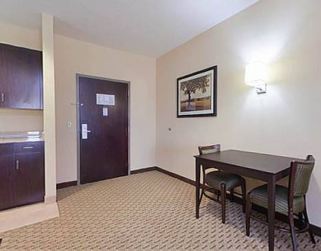 Imagen general del Hotel Holiday Inn Express & Suites Opelika Auburn. Foto 1