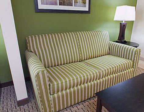 Imagen de la habitación del Hotel Holiday Inn Express & Suites Opelika Auburn. Foto 9