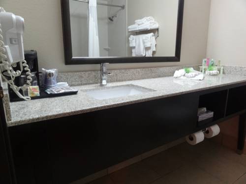 Imagen de la habitación del Hotel Holiday Inn Express & Suites Orange City. Foto 4