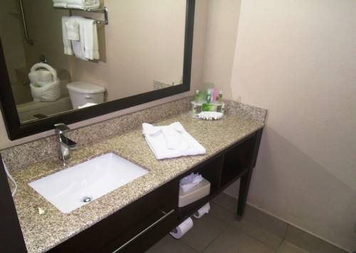 Imagen de la habitación del Hotel Holiday Inn Express & Suites Orange City. Foto 5