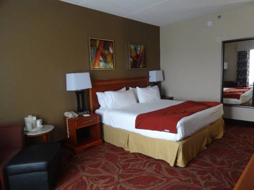 Imagen de la habitación del Hotel Holiday Inn Express & Suites Orange City. Foto 10