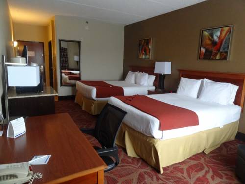 Imagen de la habitación del Hotel Holiday Inn Express & Suites Orange City. Foto 11