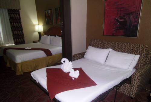 Imagen de la habitación del Hotel Holiday Inn Express & Suites Orange City. Foto 13