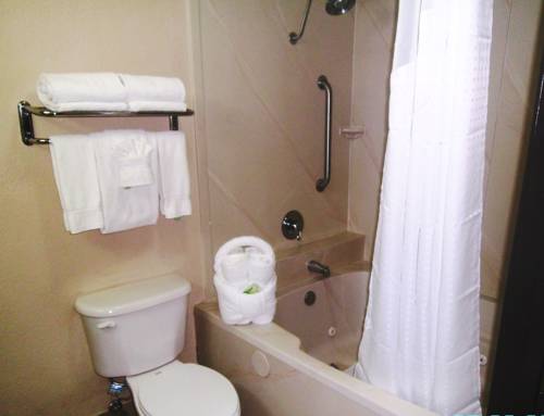 Imagen de la habitación del Hotel Holiday Inn Express & Suites Orange City. Foto 14
