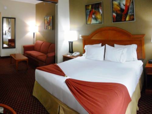 Imagen de la habitación del Hotel Holiday Inn Express & Suites Orange City. Foto 15