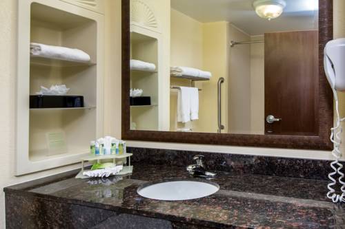 Imagen de la habitación del Hotel Holiday Inn Express & Suites Orlando - Apopk. Foto 2