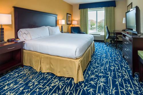 Imagen de la habitación del Hotel Holiday Inn Express & Suites Orlando - Apopk. Foto 3