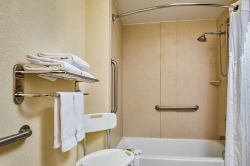 Imagen de la habitación del Hotel Holiday Inn Express & Suites Orlando - Apopk. Foto 7