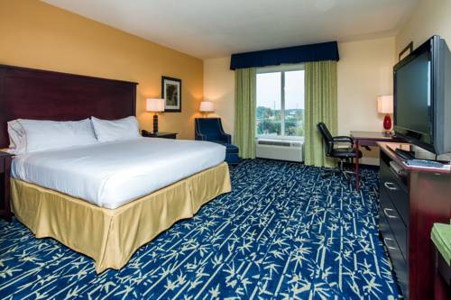 Imagen de la habitación del Hotel Holiday Inn Express & Suites Orlando - Apopk. Foto 10