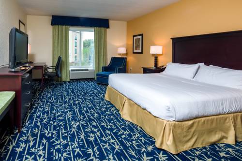 Imagen de la habitación del Hotel Holiday Inn Express & Suites Orlando - Apopk. Foto 11