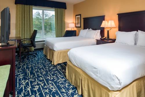 Imagen de la habitación del Hotel Holiday Inn Express & Suites Orlando - Apopk. Foto 12